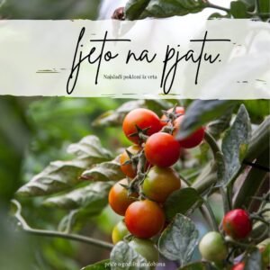 Naslovna stranica knjižice "Ljeto na pjatu"