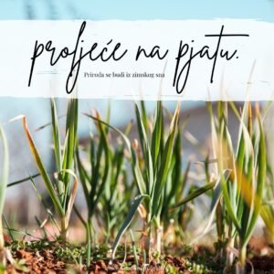 Naslovna stranica knjižice "Proljeće na pjatu"