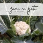 Naslovna stranica knjižice "Zima na pjatu"