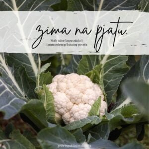 Naslovna stranica knjižice "Zima na pjatu"