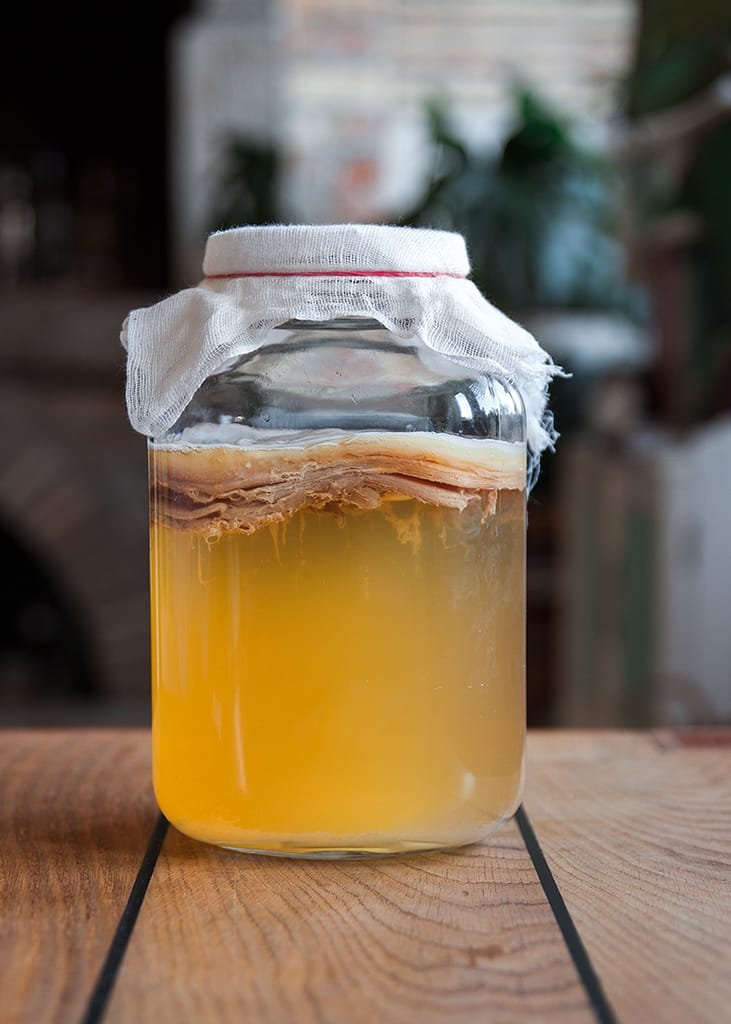 Kombucha nakon 7 dana fermentiranja